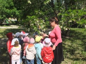 Средняя группа 2012 г.