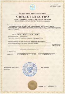Свидетельство ОГРН 1995 г.